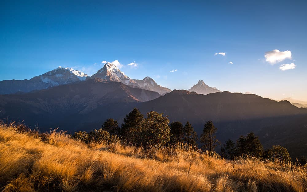 Poon Hill