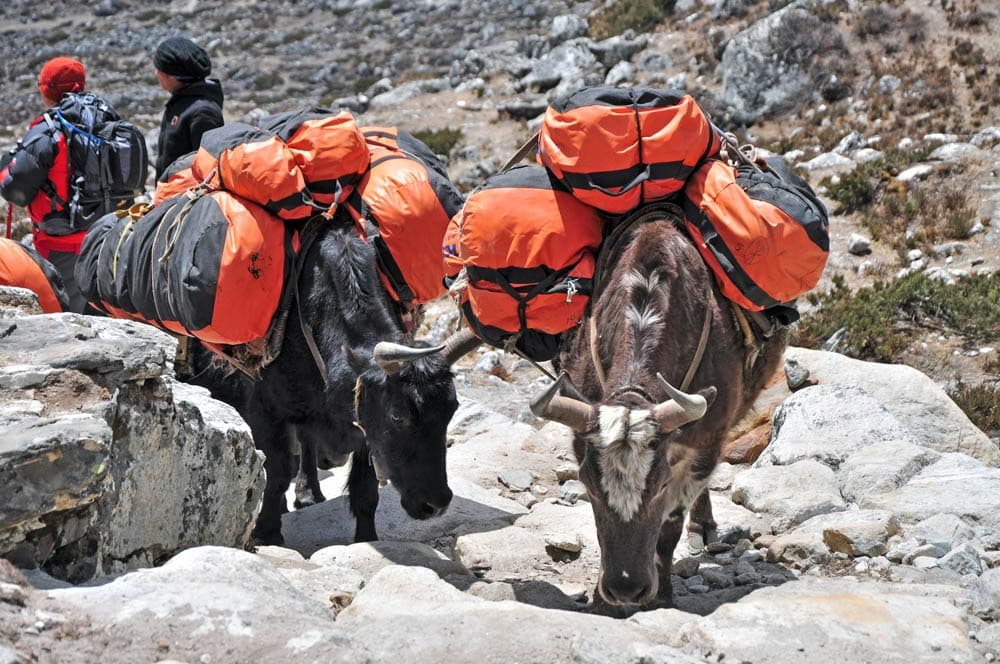 Valle de Khumbu