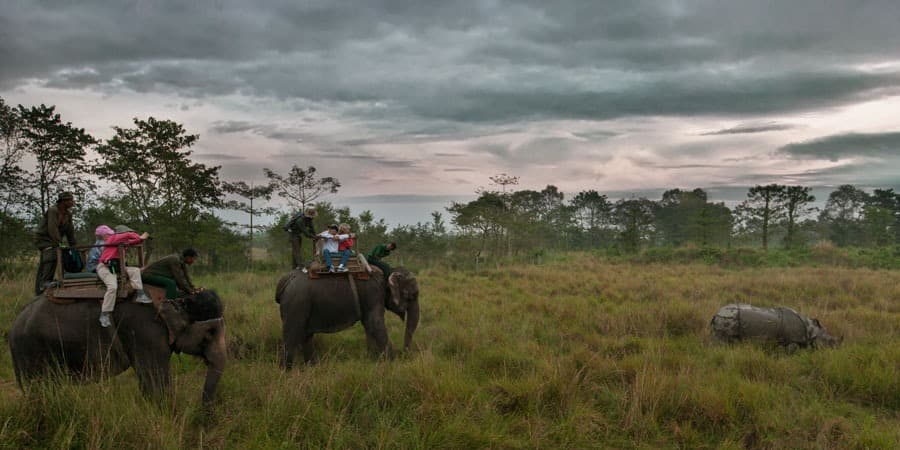 Safari en elefante
