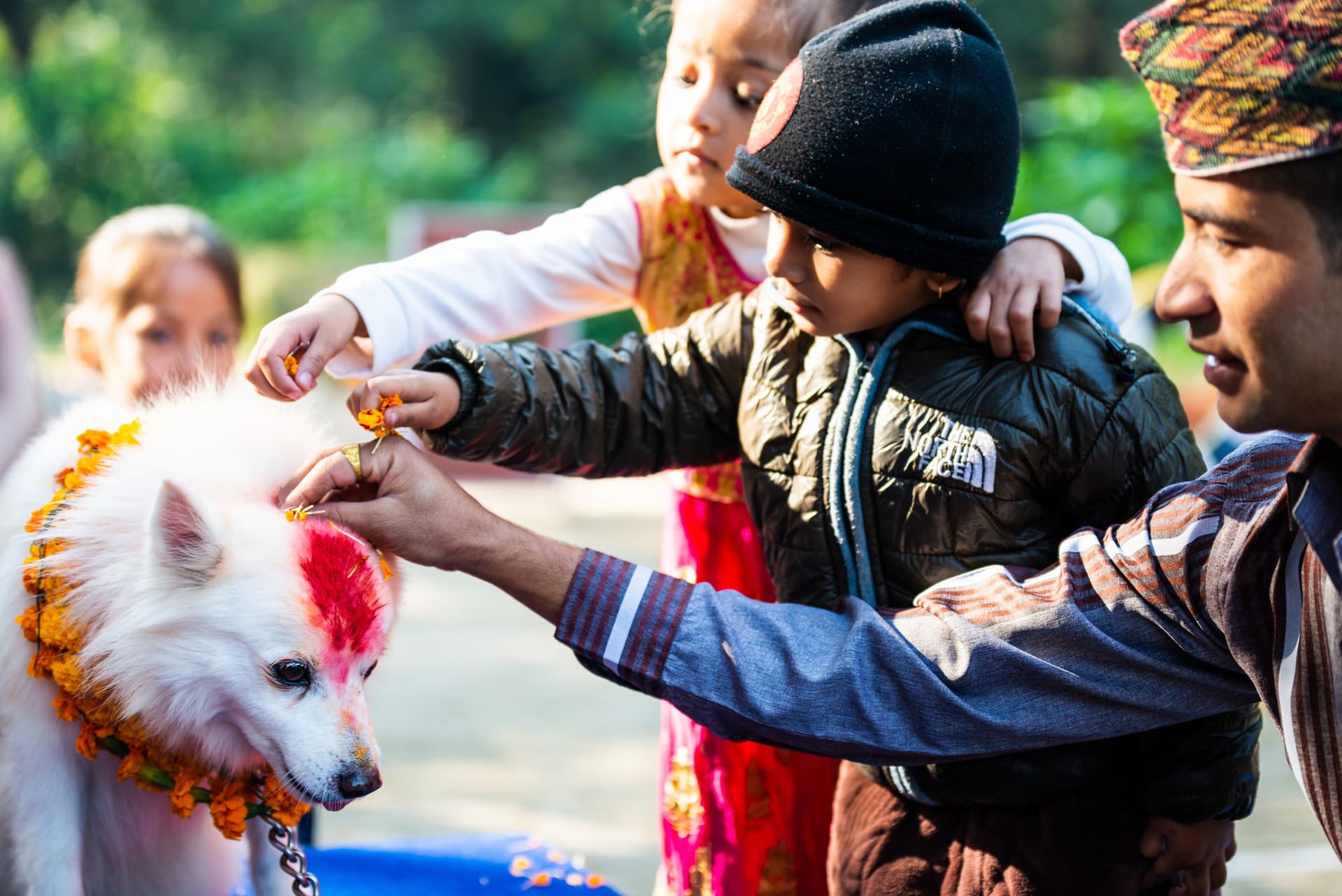 Kukur Tihar: el festival que celebra a los perros en Nepal